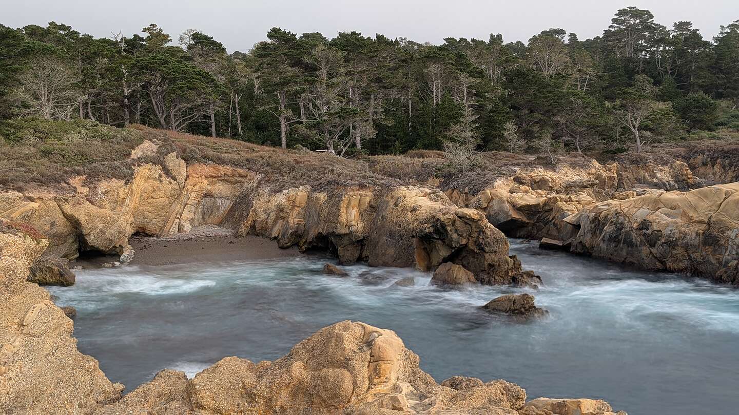 Point Lobos