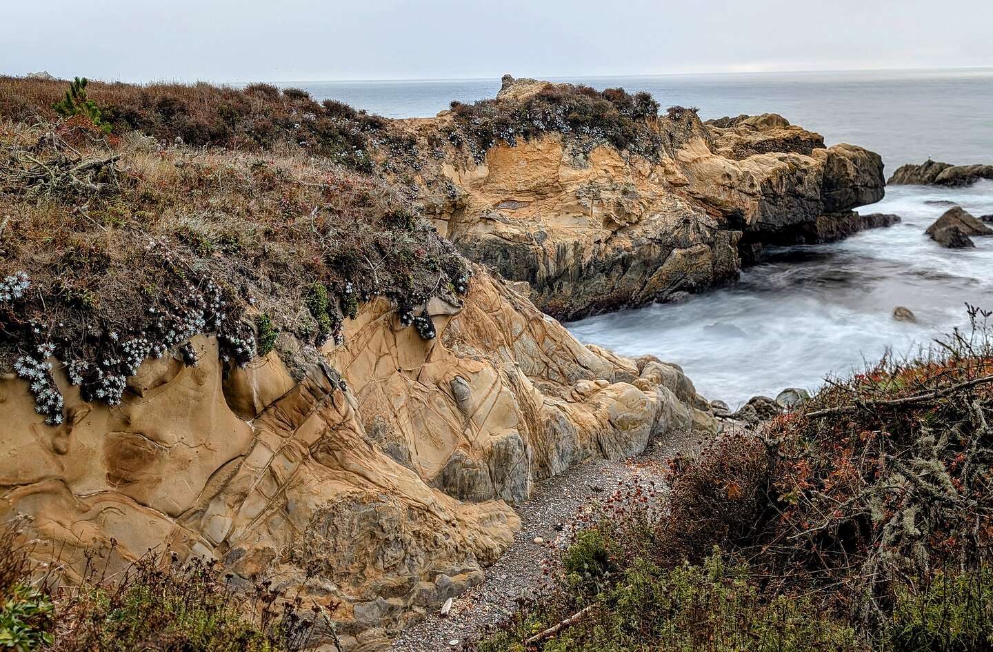 Point Lobos