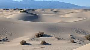 Mesquite Sand Dunes