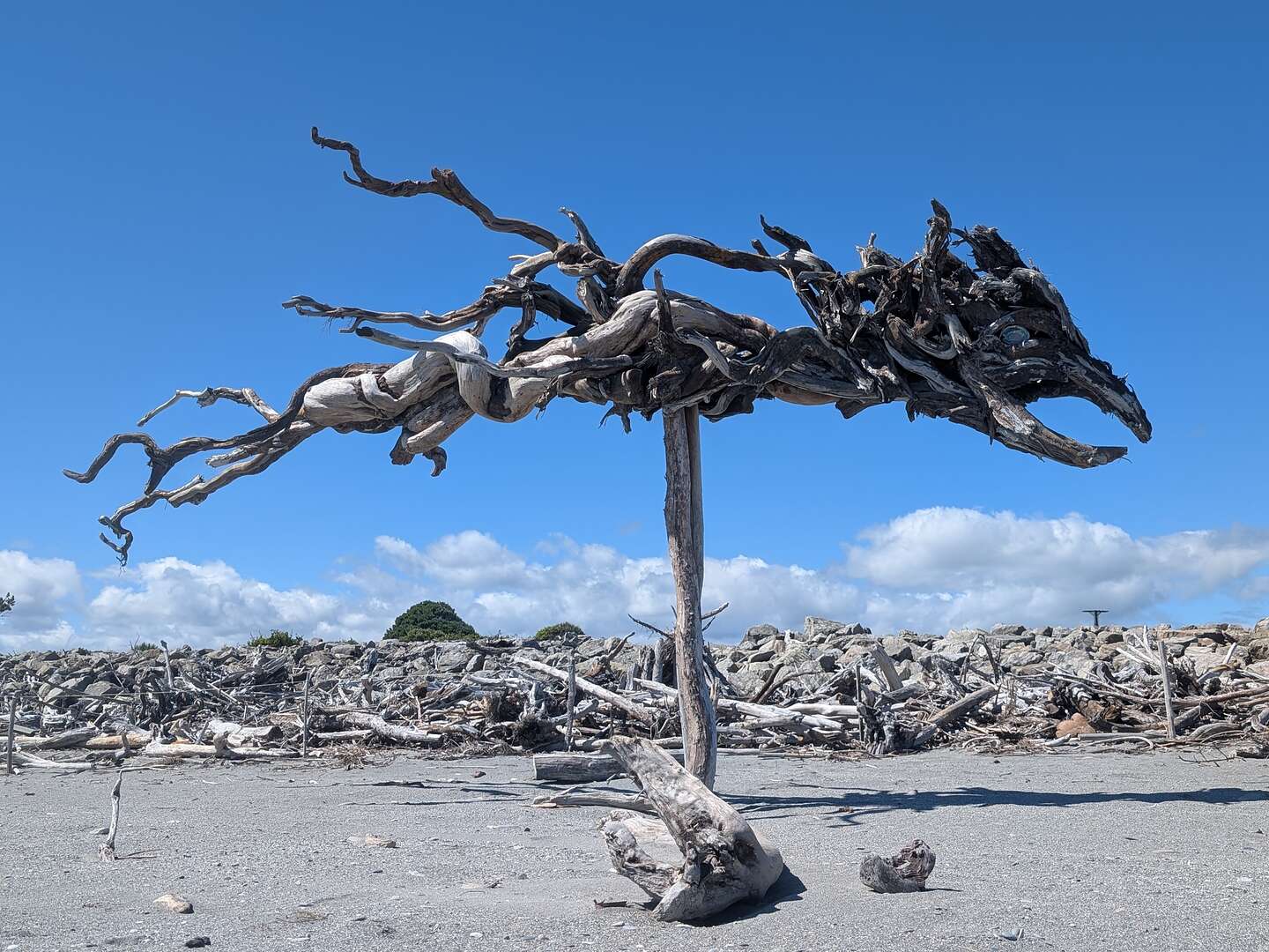 Hokitika Driftwood Art